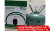gas-lanh-ecoron-r22-34-kg-trung-quoc1575756123_220.08035062089x165.jpg